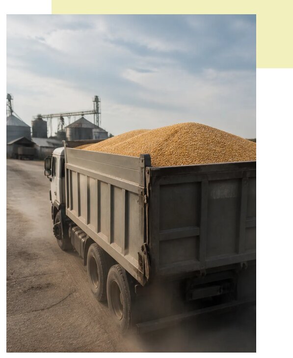Перевозка сельхозпродукции навалом в Гая по цене от 3050 р. | Агросервис-Гай