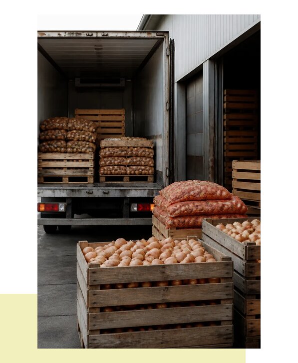Перевозка лука и луковых культур с доставкой в Гая